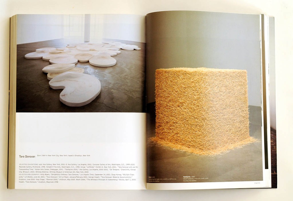 artists tara donovan