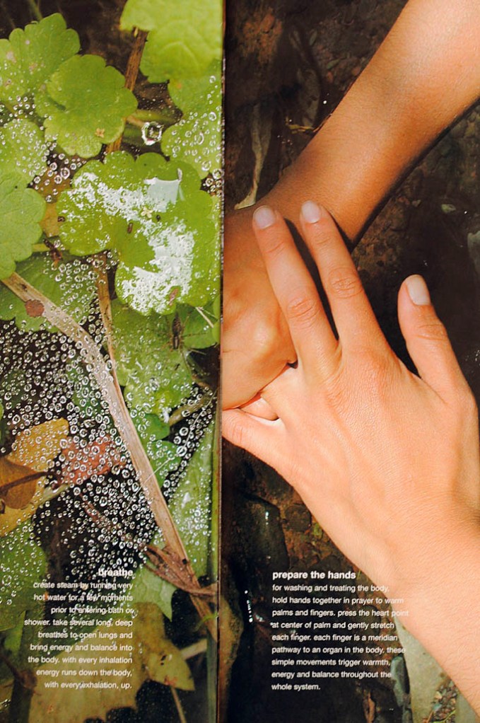 red flower japan catalogue inside1