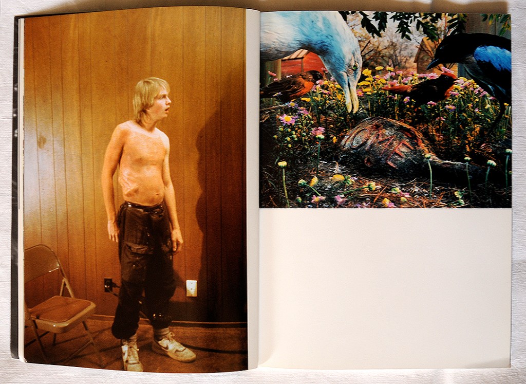 spectacular book inside 2