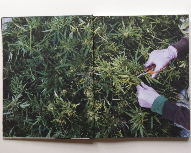 a972eefd76a4d4c7-bookpage5