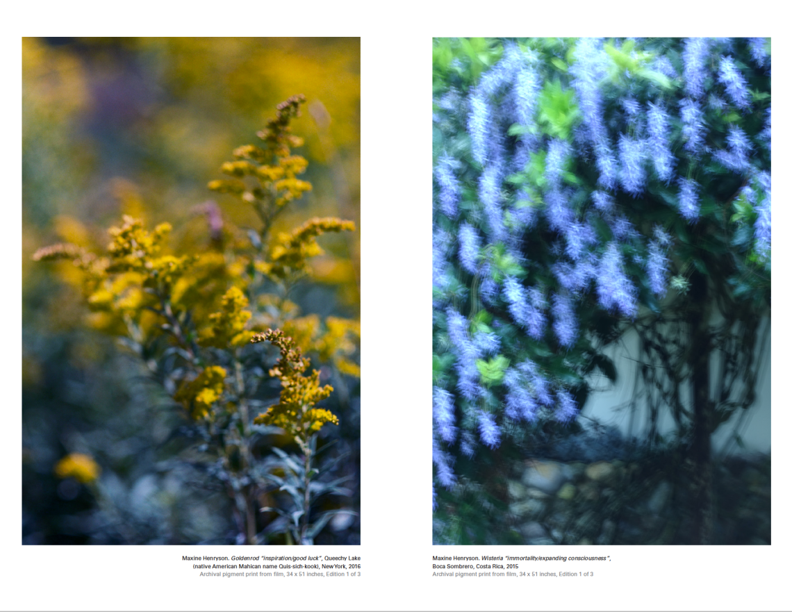 Screen Shot 2020-01-17 at 8.41.39 PM